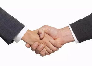 会展 繁荣的见证，经济贸易咨询的璀璨舞台