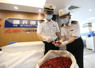 中非经贸博览会 合作成果丰硕，携手共谱发展新篇