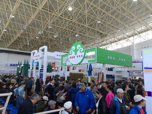 第十三届中俄蒙经贸洽谈暨商品展销会圆满落幕，俄蒙展厅现场火爆彰显区域合作新活力